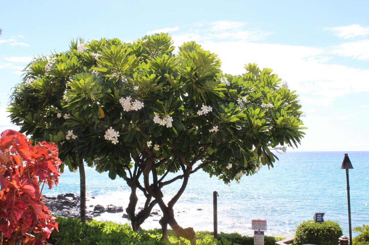 Kuleana Resort 618 Lahaina Kültér fotó